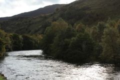 IMG_6420